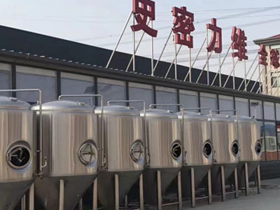 雅安精酿啤酒设备厂—如何判断精酿啤酒设备的密封件需要更换？